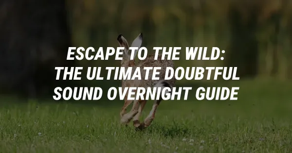 Escape to the Wild: The Ultimate Doubtful Sound Overnight Guide