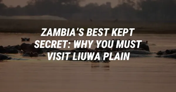 Zambia’s Best Kept Secret: Why You Must Visit Liuwa Plain