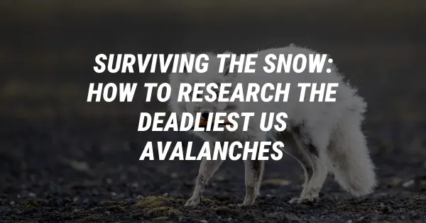 Surviving the Snow: How to Research the Deadliest US Avalanches