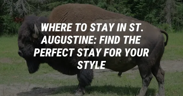 Where to Stay in St. Augustine: Find the Perfect Stay for Your Style