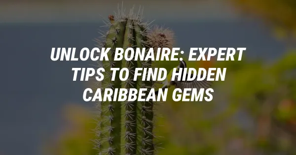 Unlock Bonaire: Expert Tips to Find Hidden Caribbean Gems