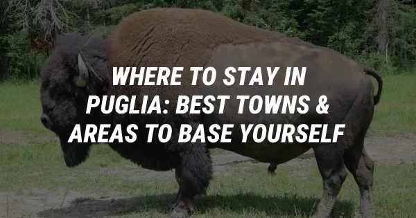 Where to Stay in Puglia: Best Towns & Areas to Base Yourself