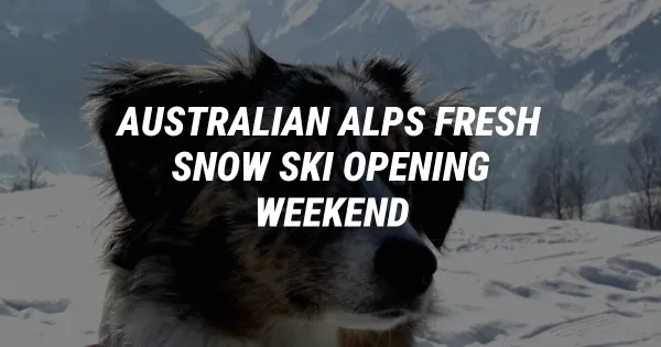 Fresh Snow Blankets Australian Alps Ahead of Opening Weekend