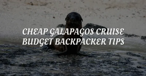 Book a Cheap Galapagos Cruise: Budget Backpacker Secrets
