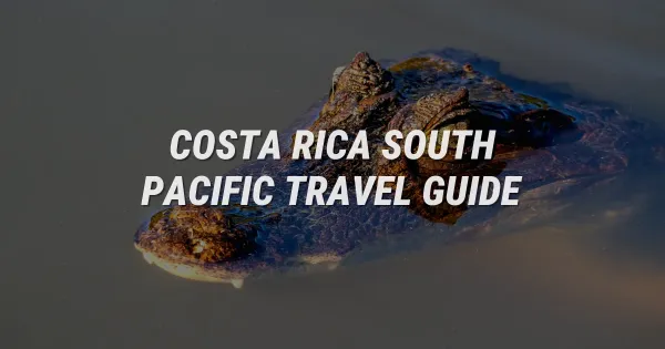Discover Costa Rica's Wild South Pacific Paradise