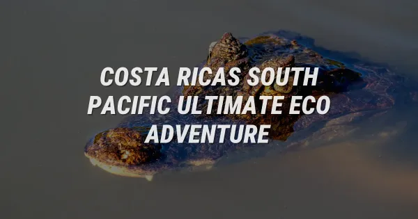 Costa Rica's South Pacific: The Ultimate Eco-Adventure