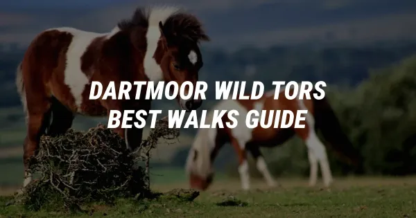 Dartmoor's Best Wild Tor Walks: A Hiker's Ultimate Guide