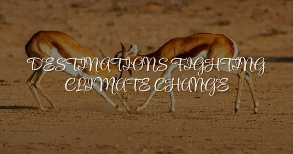 5 Global Destinations Actively Fighting Climate Change