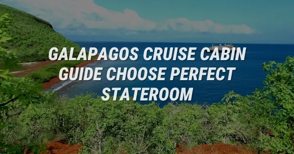Galapagos Cruise Cabin Guide: How to Choose Your Perfect Room