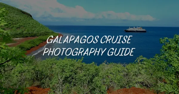 Galapagos Cruise Photography Guide: Capture Stunning Wildlife