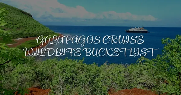Galapagos Cruise Wildlife Bucket List: Animals You Must See