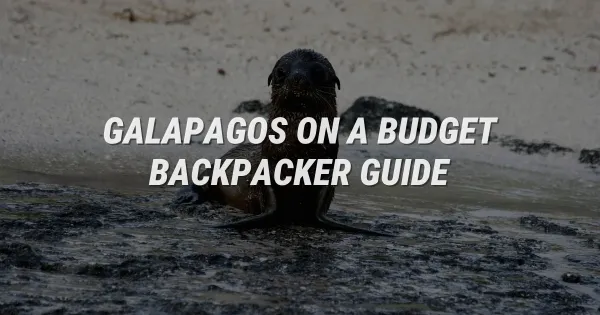 Galapagos on a Budget: How to Backpack the Islands for Cheap