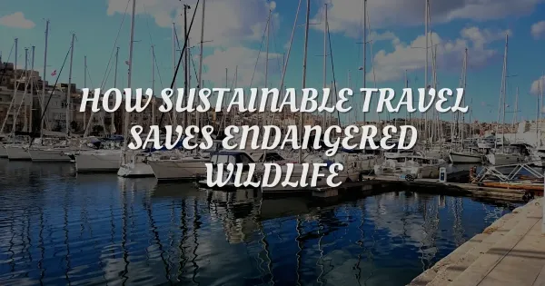 Saving the Wild: How Eco-Tourism Keeps Endangered Species Alive