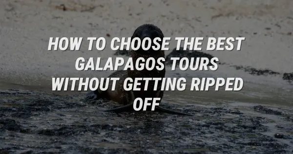 How to Choose the Best Galapagos Tours Without Getting Ripped Off