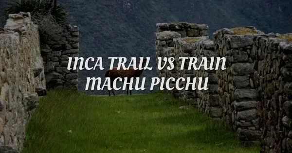 Inca Trail vs Train: Which Machu Picchu Option is Best?