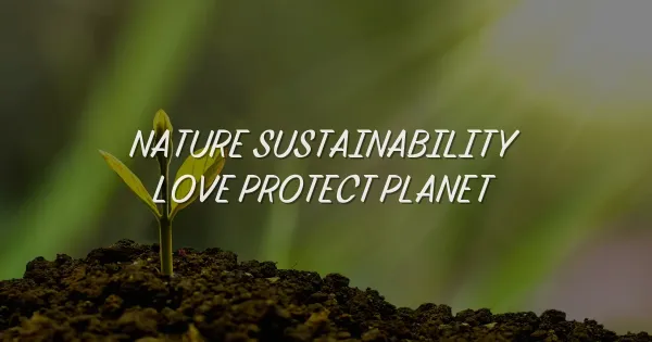 How Nature Sustainability Teaches Us to Love and Protect Our Planet