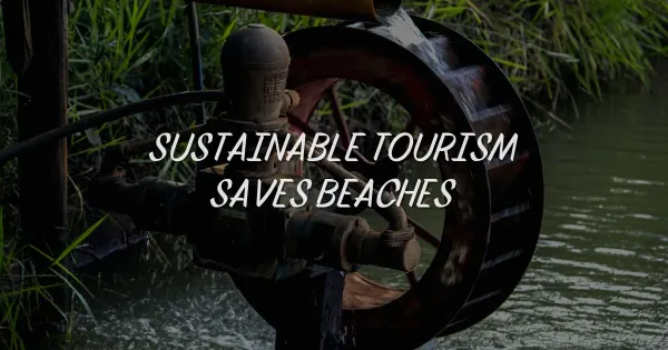 5 Shocking Ways Eco-Tourism Saves Your Favorite Beaches From Ruin