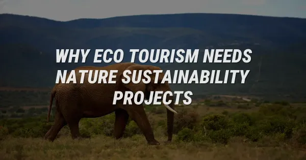 Why Eco-Tourism Dies Without Nature Sustainability Projects