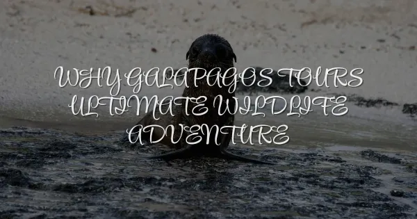 Why Galapagos Tours Are the Ultimate Wildlife Adventure
