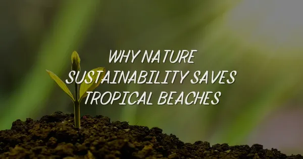 Why Nature Sustainability Saves Our Favorite Tropical Beaches