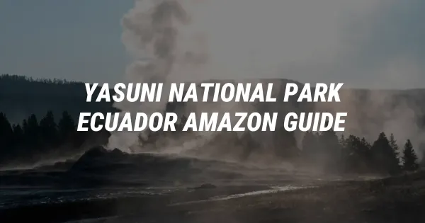 Yasuní National Park Guide: Ultimate Ecuador Amazon Adventure