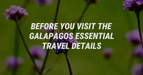 Galapagos Travel Guide: Essential Details to Sort Before You Go