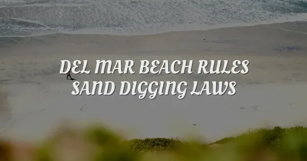 Del Mar Beach Rules: Guide to Sand Digging & Local Laws