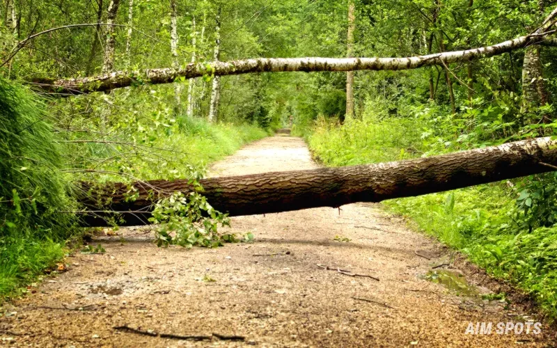 storm damage destroyed house midwest