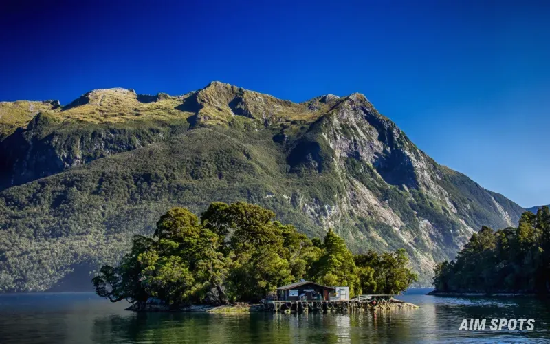 Doubtful Sound aerial view fiordland