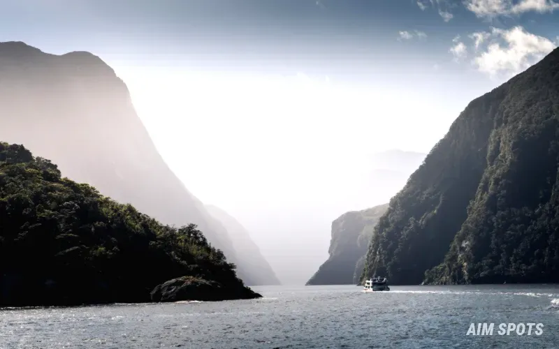 Fiordland Navigator boat overnight cruise