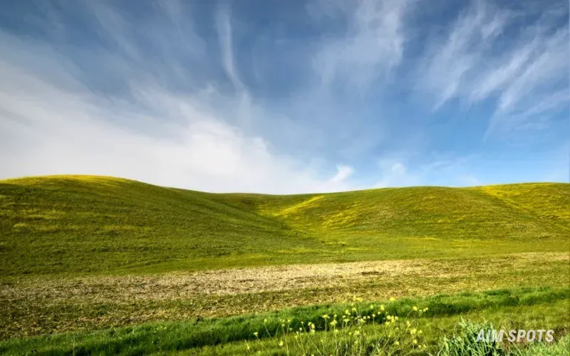 rolling green hills of Scotland