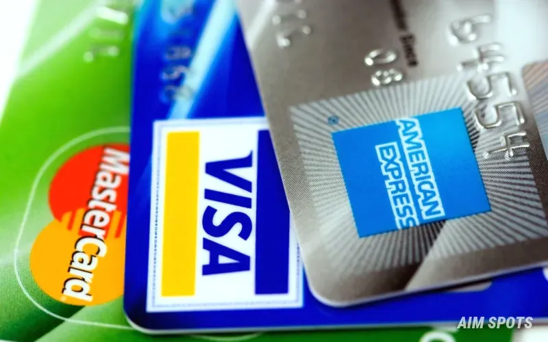 electronic visa application on smartphone