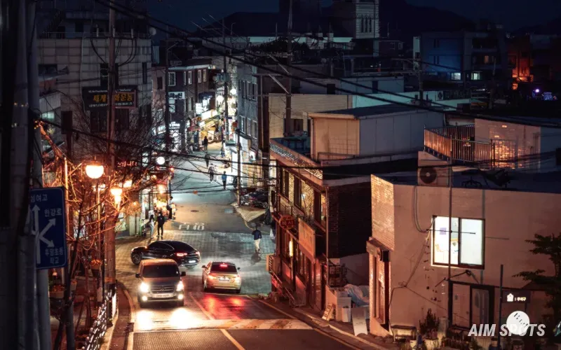 seoul south korea street food