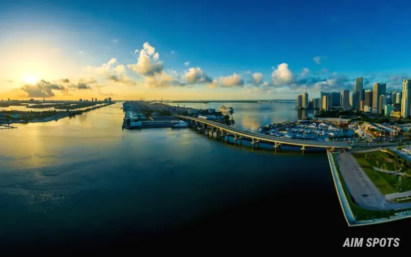 Miami city skyline at night