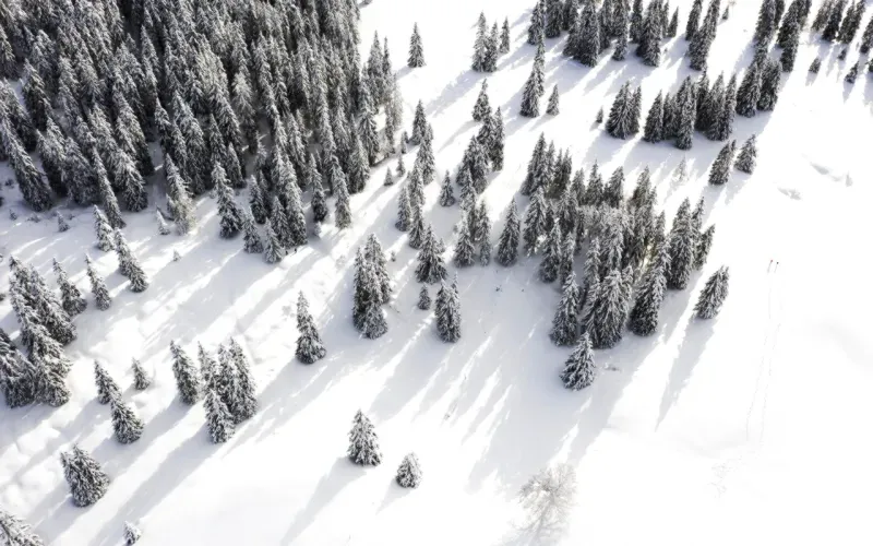 winter hiking safety gear