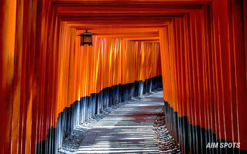 historic Japanese architecture in a park setting