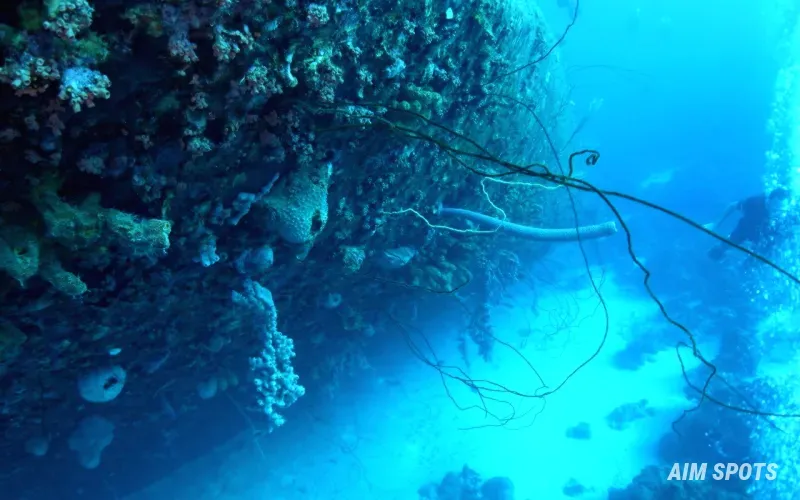 diving in Bonaire crystal clear water