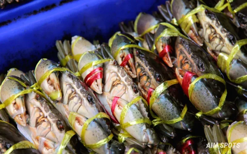 fresh seafood dish Dalmatian coast