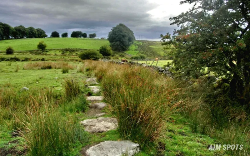 dartmoor national park walking trail