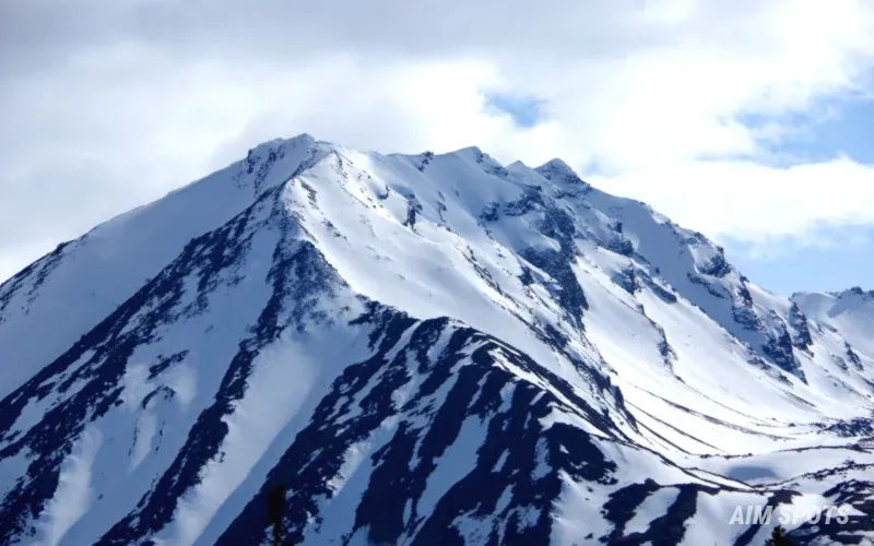 denali star train alaska