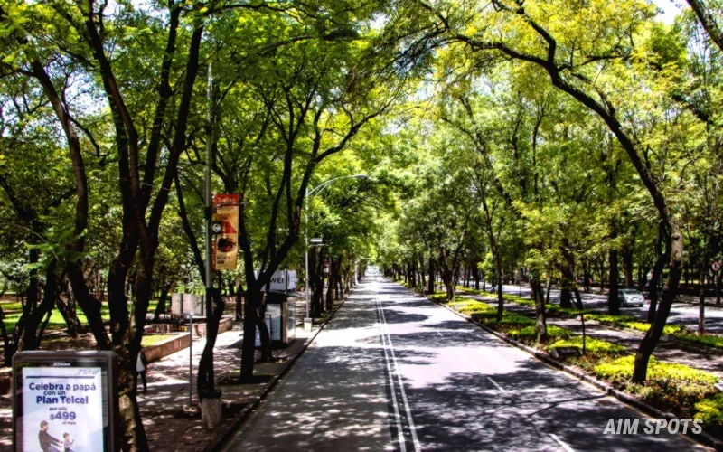 Paseo de la Princesa coastal walk San Juan