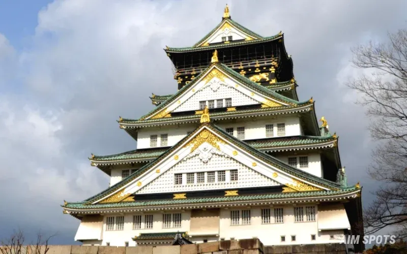 Osaka Castle park with cherry blossoms