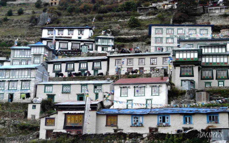 sherpa guide trekking in himalayas