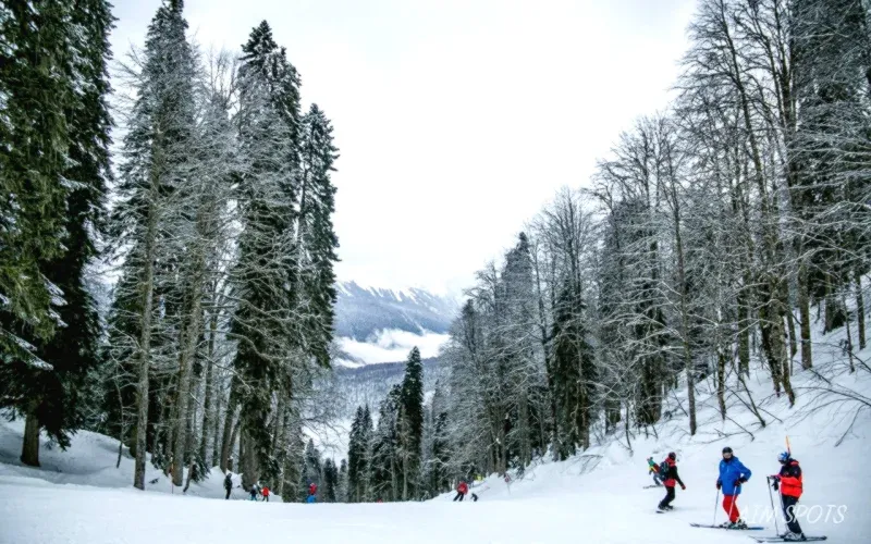 ski resort with artificial snow and bare ground