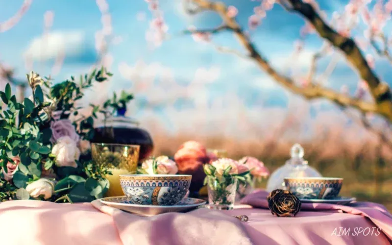 traditional tea ceremony japan
