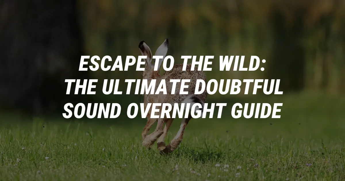 Escape to the Wild: The Ultimate Doubtful Sound Overnight Guide