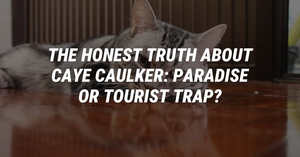 The Honest Truth About Caye Caulker: Paradise or Tourist Trap?