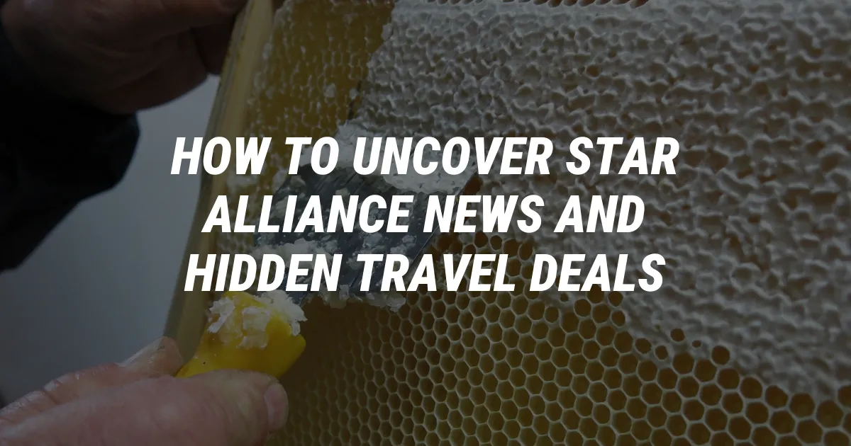 How to Uncover Star Alliance News and Hidden Travel Deals