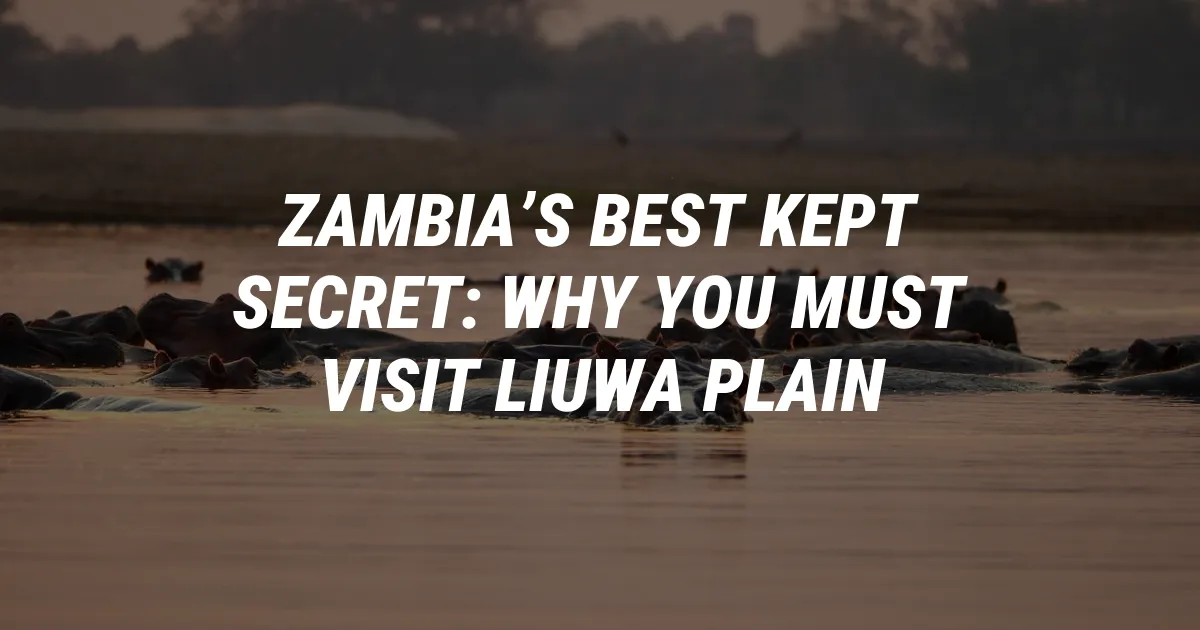 Zambia’s Best Kept Secret: Why You Must Visit Liuwa Plain