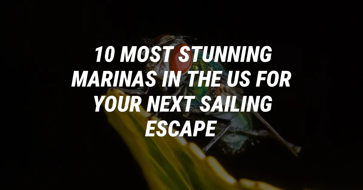 10 Most Stunning Marinas in the US for Your Next Sailing Escape